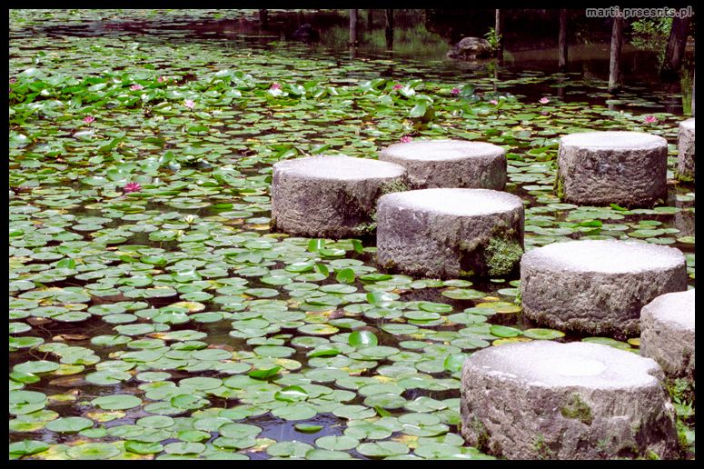 Fotoreportaż Japonia 2006: japan082