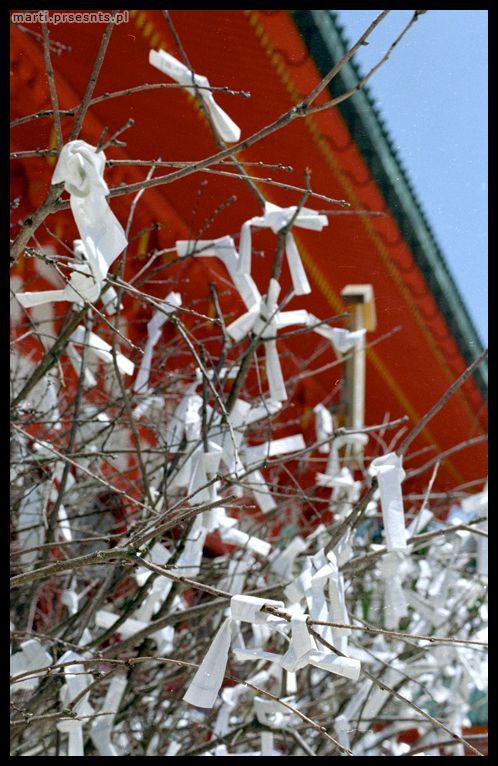 Fotoreportaż Japonia 2006: japan083