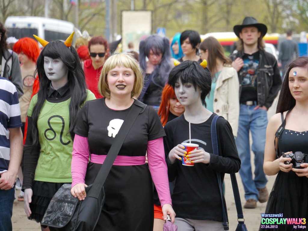 Warszawski Cosplay Walk 2013 (Tokyo): P1050202_lr